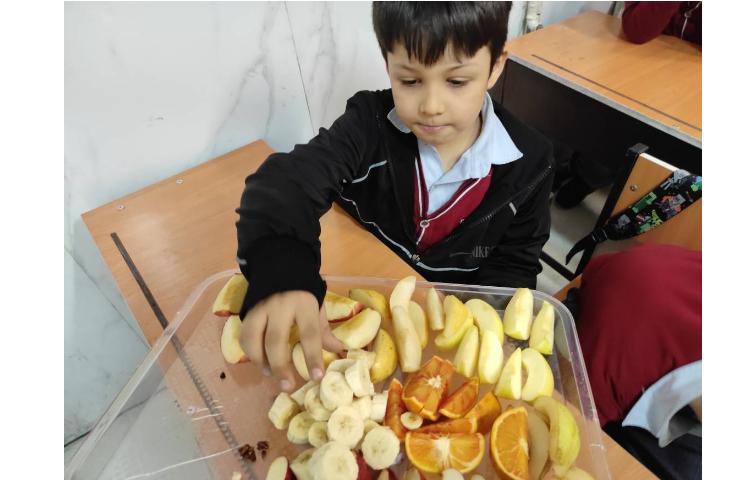 علوم آزمایش دانه ها 1