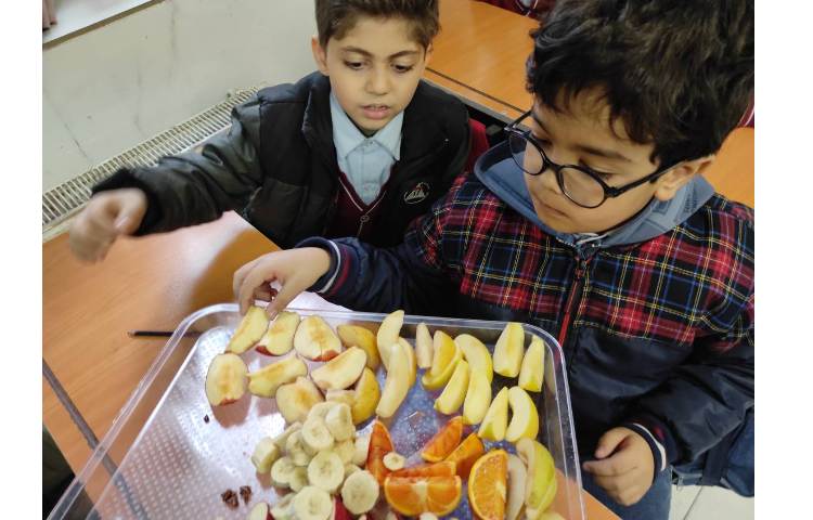 علوم آزمایش دانه ها 2