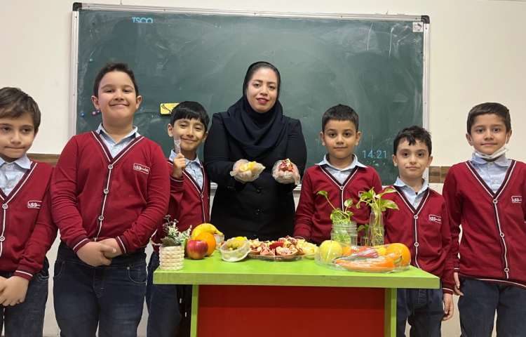 علوم آزمایش دانه ها 2