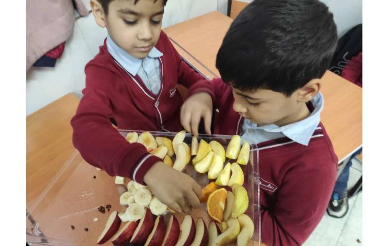 علوم آزمایش دانه ها 3