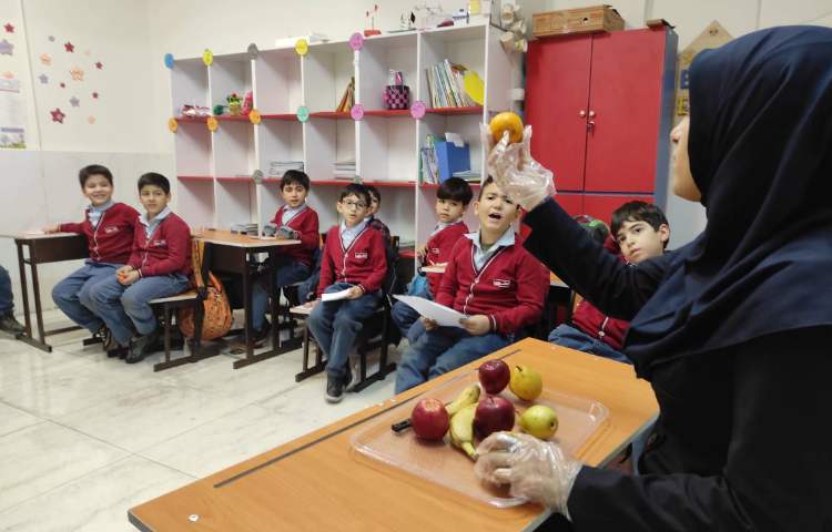 علوم آزمایش دانه ها 6