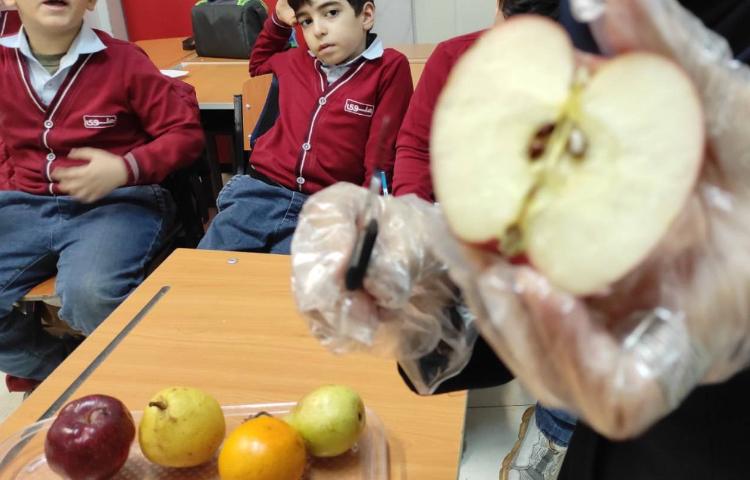 علوم آزمایش دانه ها 8