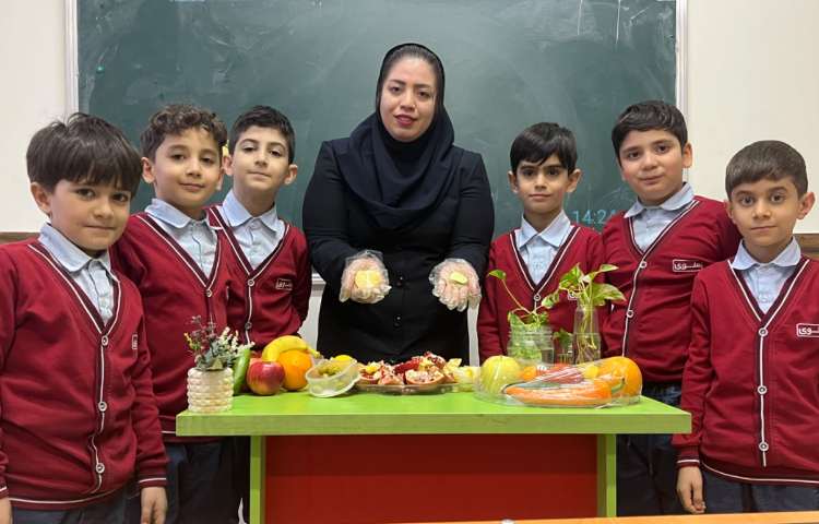 علوم آزمایش دانه ها