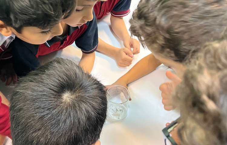 علوم، آزمایش درس دوم 4