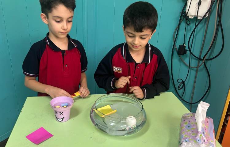 علوم، آزمایش روی آب زیر آب