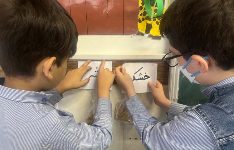 علوم : آزمایش مواد خشک و تر 3