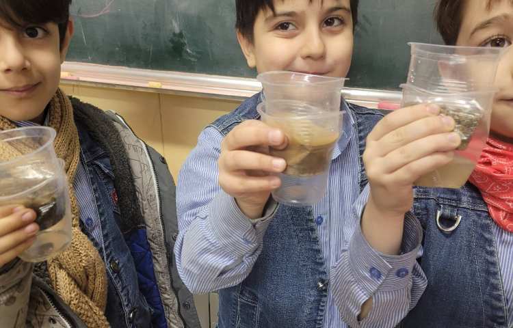 علوم آزمایش نفوذپذیری 1