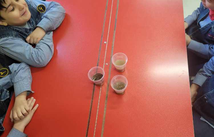 علوم آزمایش نفوذپذیری 4