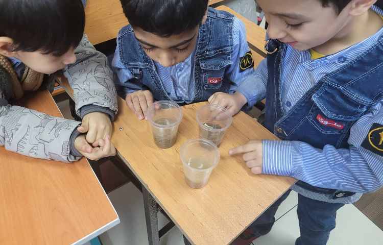 علوم آزمایش نفوذپذیری 5