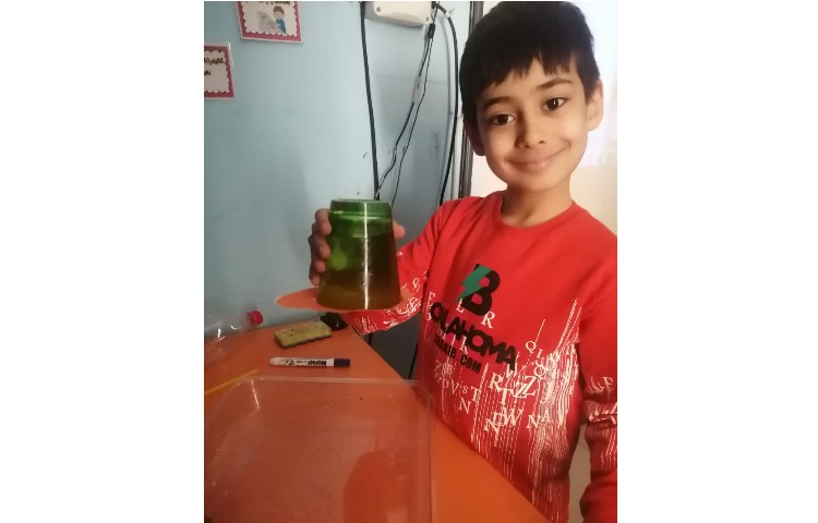 علوم آزمایش ها 2