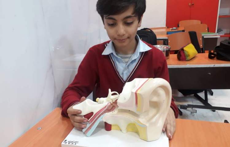 علوم - آشنایی با اجزای گوش و چشم 1