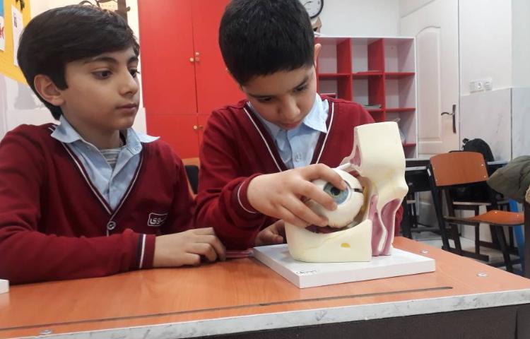 علوم - آشنایی با اجزای گوش و چشم 4