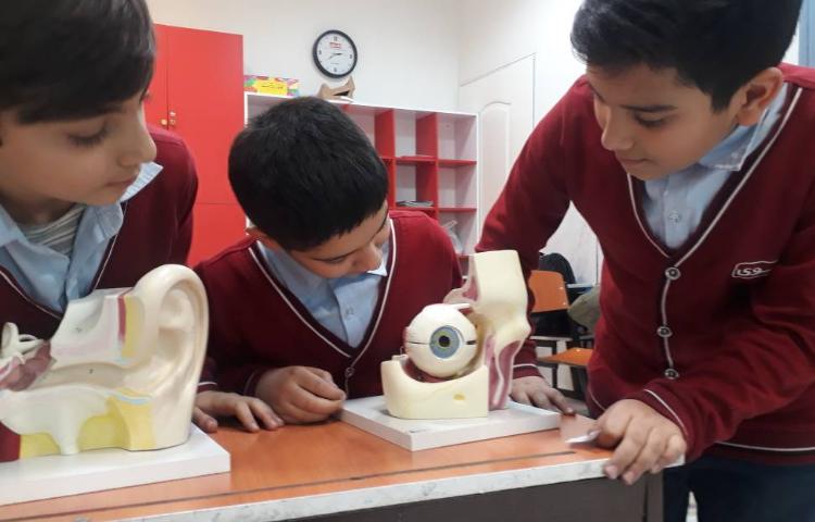 علوم - آشنایی با اجزای گوش و چشم 5