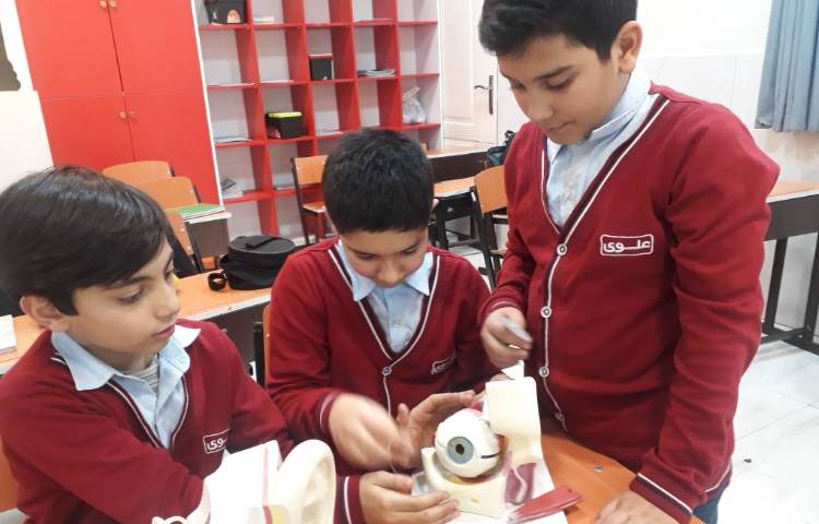 علوم - آشنایی با اجزای گوش و چشم 6