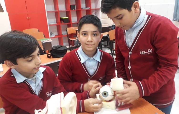 علوم - آشنایی با اجزای گوش و چشم 7