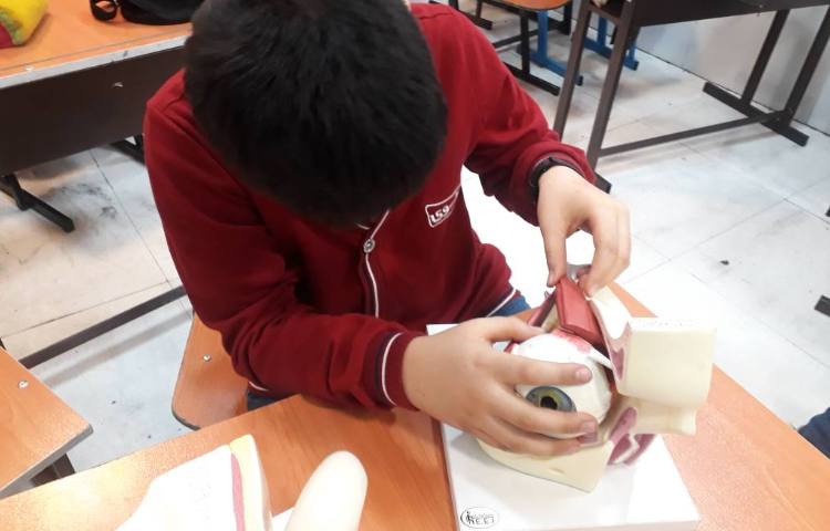 علوم - آشنایی با اجزای گوش و چشم