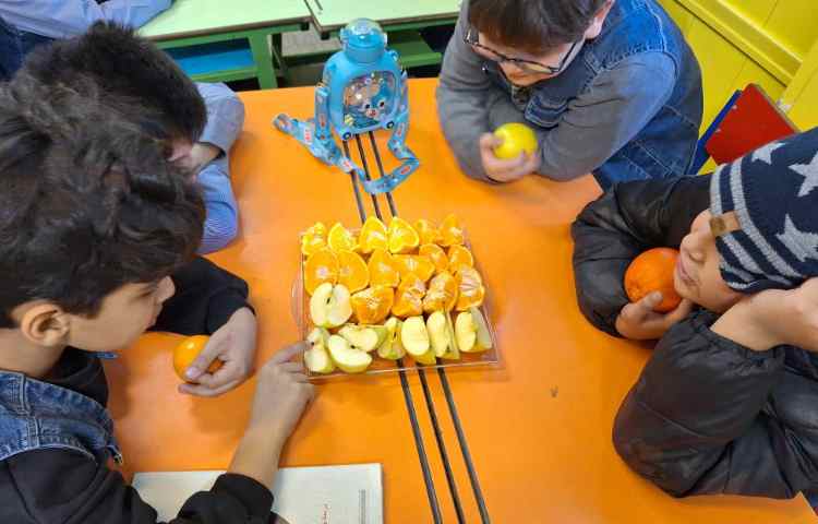 علوم آشنایی با انواع دانه ها 1