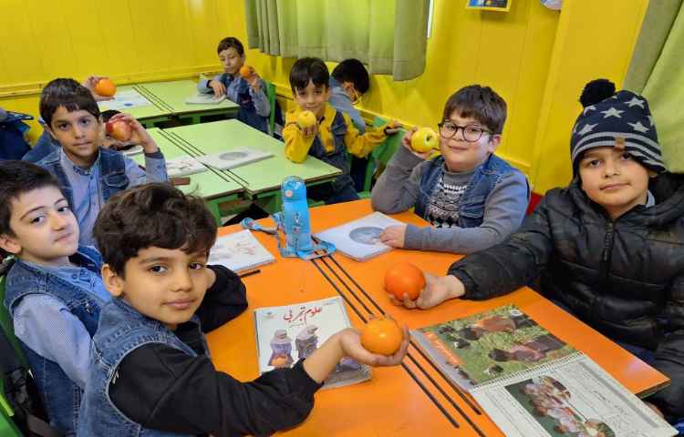 علوم آشنایی با انواع دانه ها 2