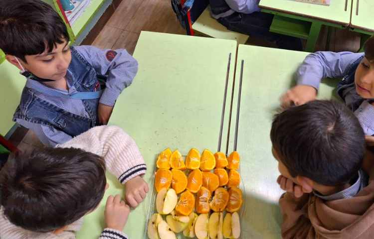 علوم آشنایی با انواع دانه ها 3