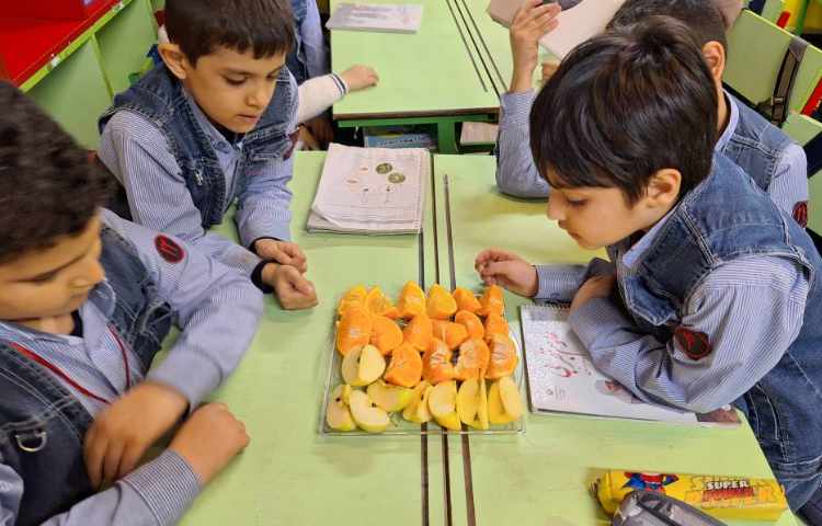 علوم آشنایی با انواع دانه ها 4