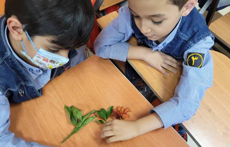 علوم: آشنایی با بخش های مختلف گیاهان 1
