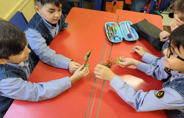 علوم: آشنایی با بخش های مختلف گیاهان 5