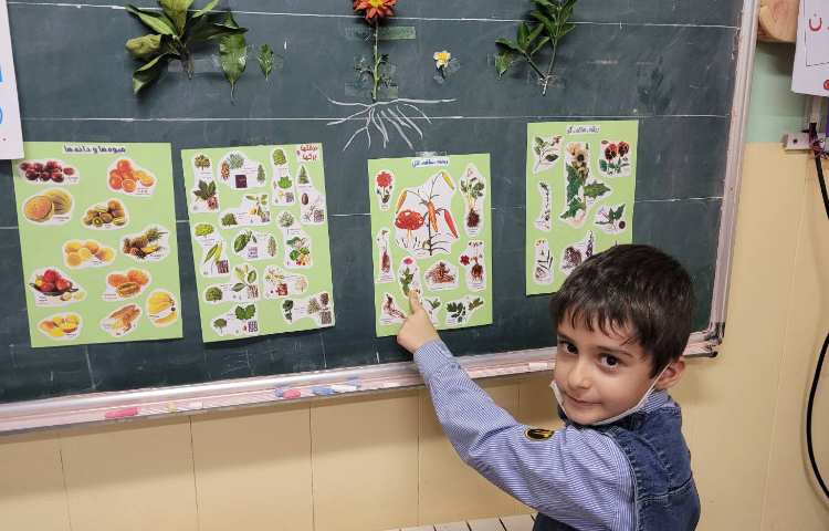 علوم: آشنایی با بخش های مختلف گیاهان
