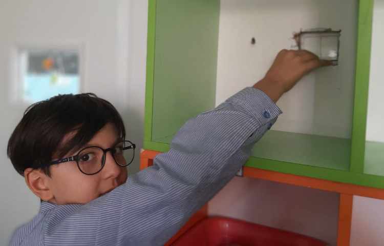 علوم، آشنایی با تبدیل صورت‌های انرژی