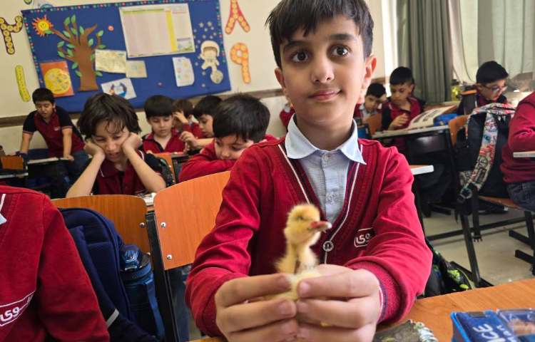 علوم - آشنایی با جانوران مهره‌دار 1