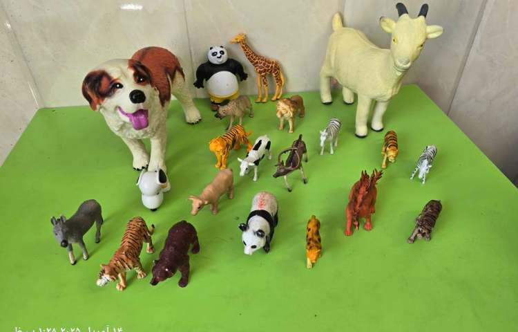 علوم - آشنایی با جانوران مهره‌دار 2