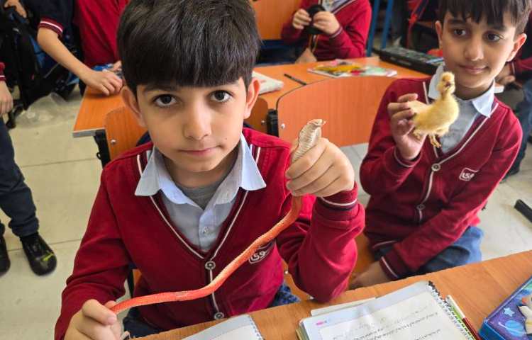 علوم - آشنایی با جانوران مهره‌دار 3