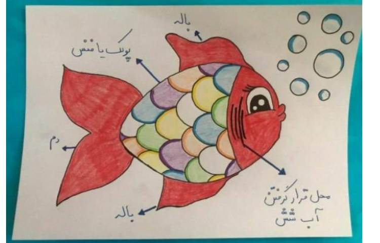 علوم - آشنایی با زندگی ماهی‌ها 2