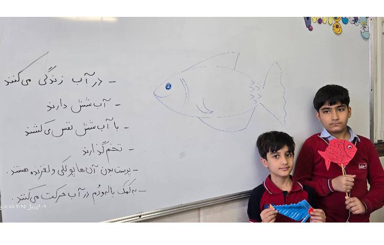 علوم - آشنایی با زندگی ماهی‌ها