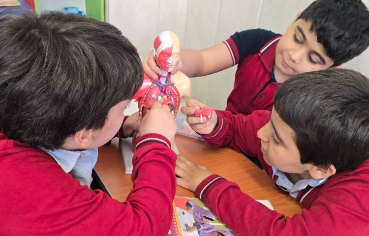 علوم - آشنایی با ستون مهره و شش 1