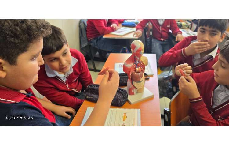 علوم - آشنایی با ستون مهره و شش 2