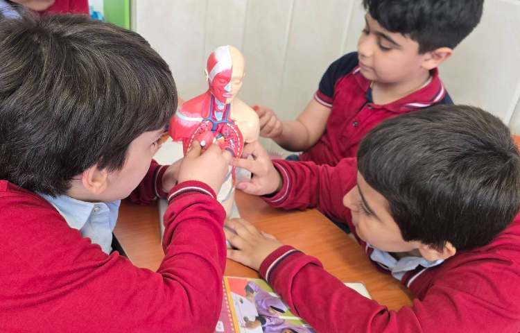 علوم - آشنایی با ستون مهره و شش 3