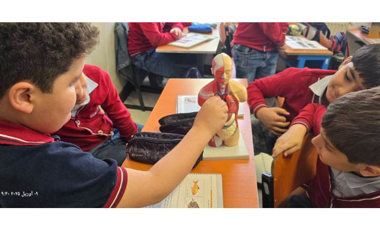 علوم - آشنایی با ستون مهره و شش 4