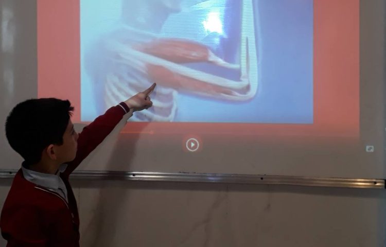 علوم -آشنایی با عملکرد اسکلت و ماهیچه‌های بدن 3