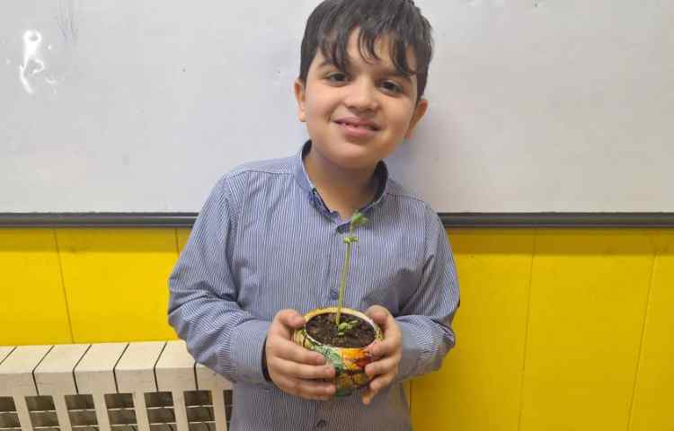 علوم، آشنایی با چرخه زندگی گیاهان 2