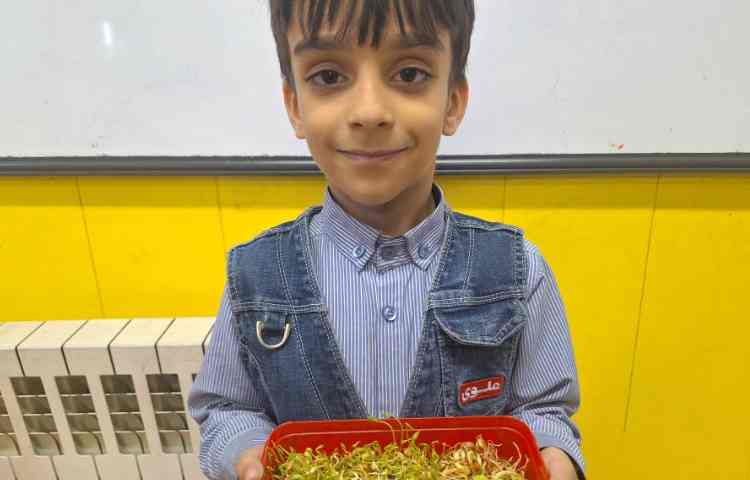 علوم، آشنایی با چرخه زندگی گیاهان 3