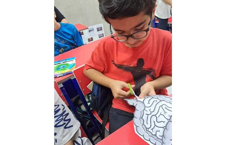 علوم آماده سازی مولاژ بدن 3