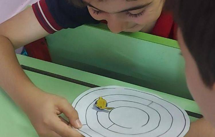 علوم :آموزش با بازی (آهن ربا )، بازی ماز آهن ربایی 3