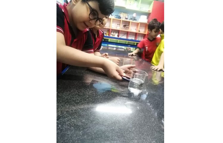 علوم : آهن ربا و چرخش زمین به دور خود و خورشید