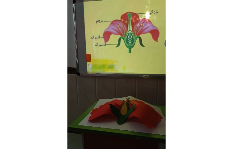 علوم_ اجزای گل 7