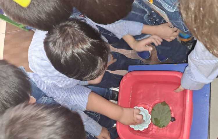 علوم : انجام آزمایش اجسام سبک و سنگین در آب 1