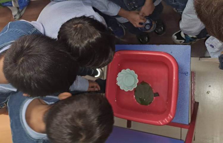 علوم : انجام آزمایش اجسام سبک و سنگین در آب 2