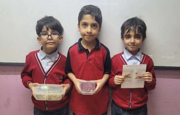 علوم :انجام آزمایش مقایسه‌ی رشد دانه‌ی لوبیا در نور آفتاب و محیط یخچال 1