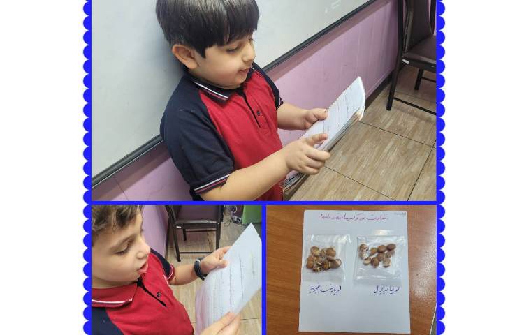 علوم :انجام آزمایش مقایسه‌ی رشد دانه‌ی لوبیا در نور آفتاب و محیط یخچال 3