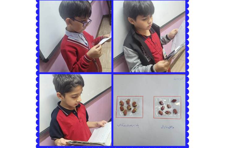 علوم :انجام آزمایش مقایسه‌ی رشد دانه‌ی لوبیا در نور آفتاب و محیط یخچال 4