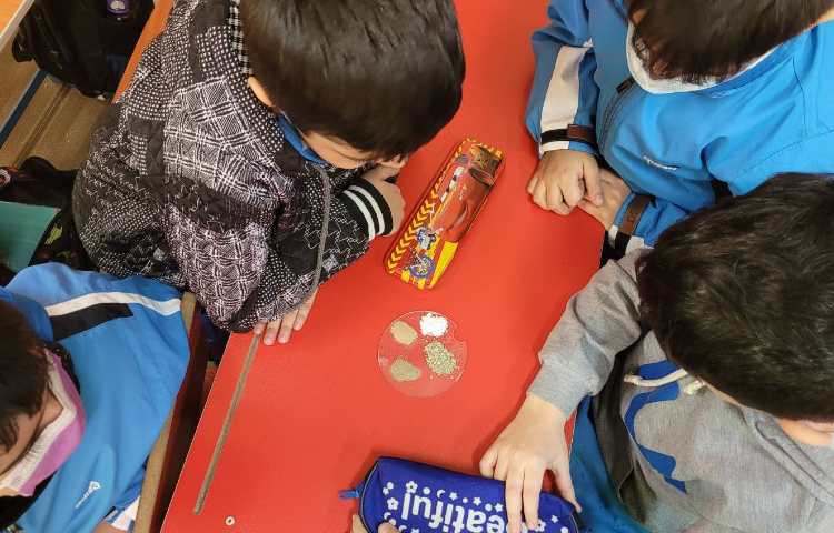 :علوم انجام آزمایش های مختلف، کلاس انگور 1